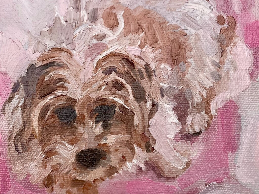 poppy