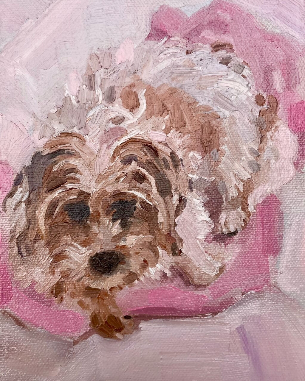 poppy