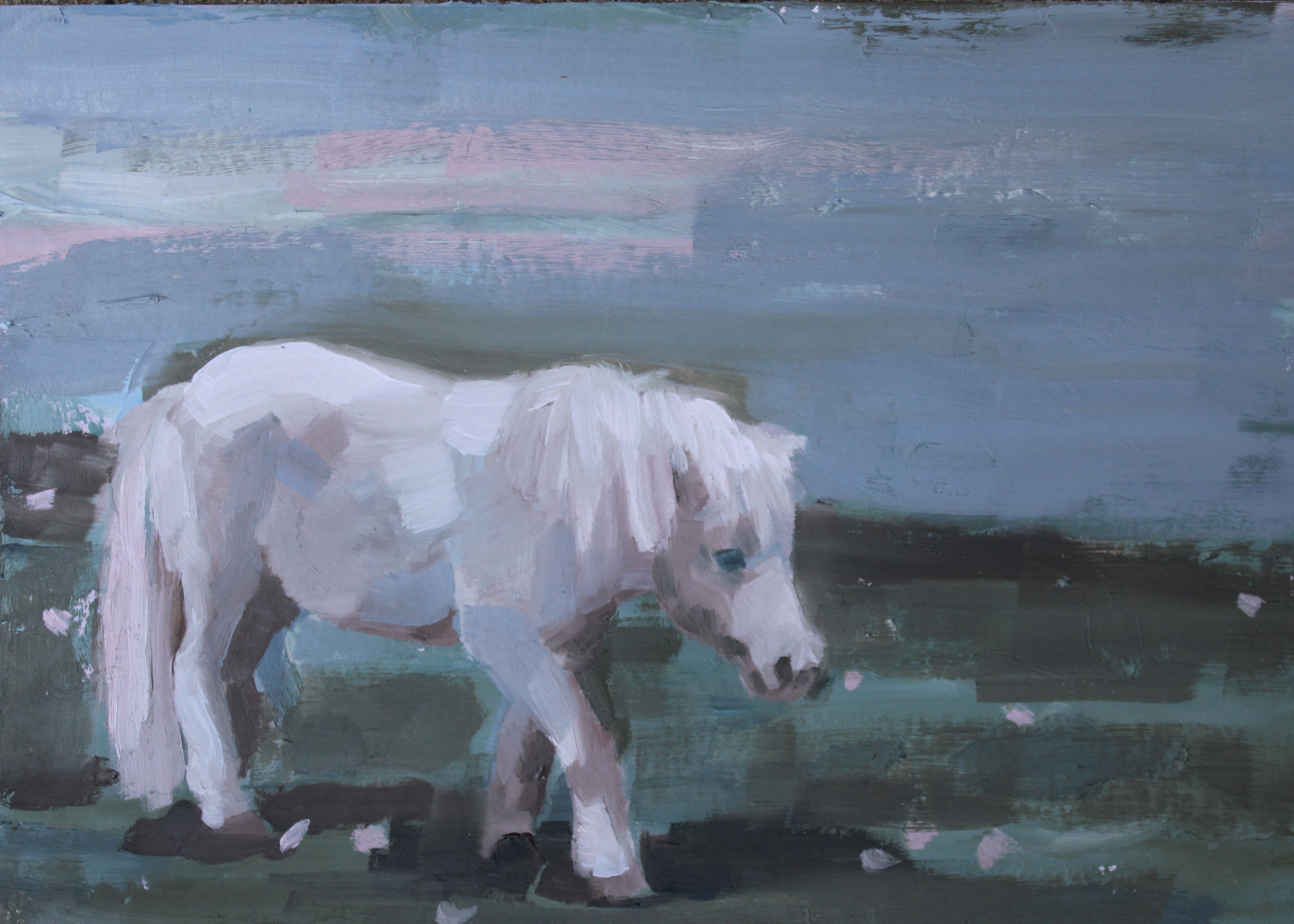 Incognito Pony 1