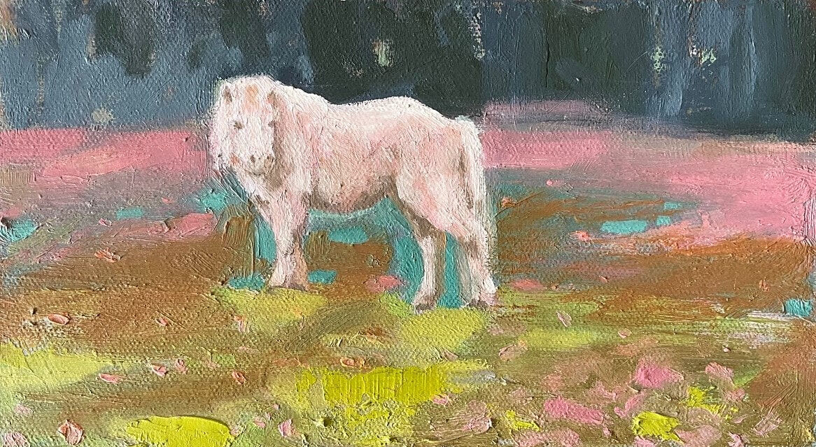 Camp Pony