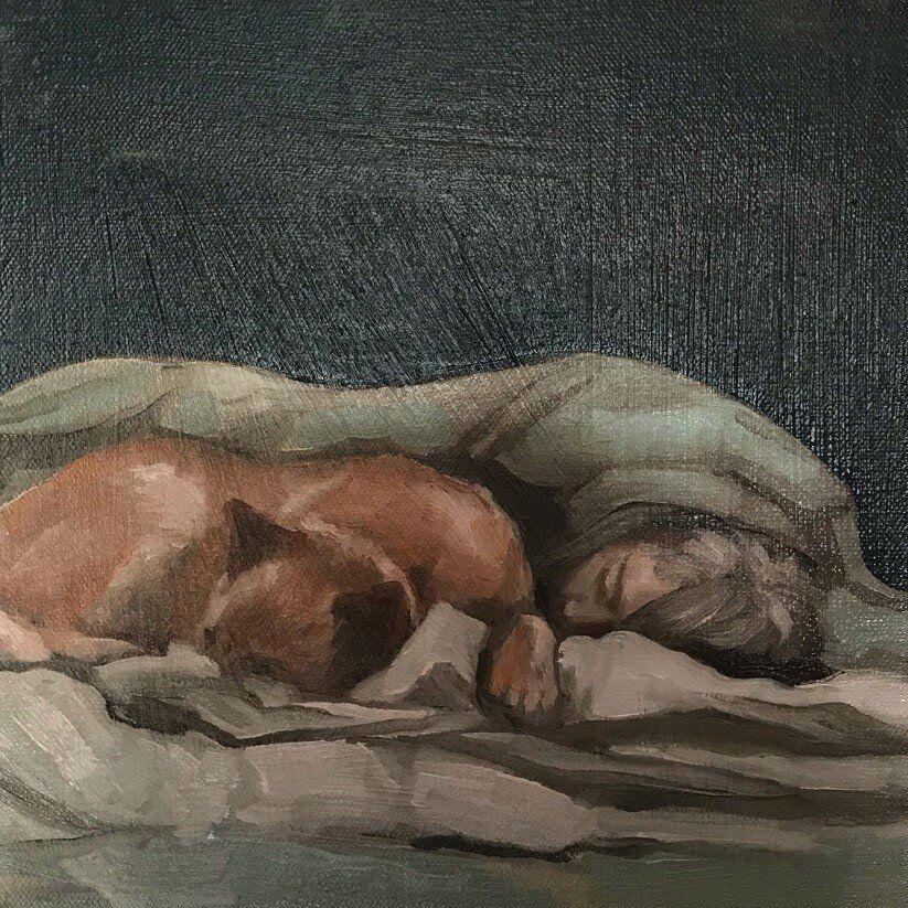 Boy and Bear 1