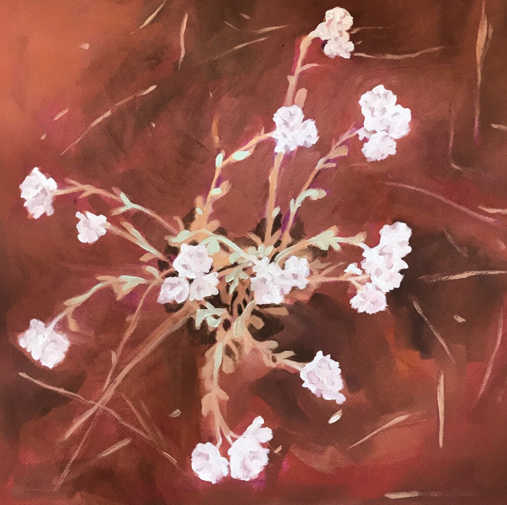 Desert flower 4