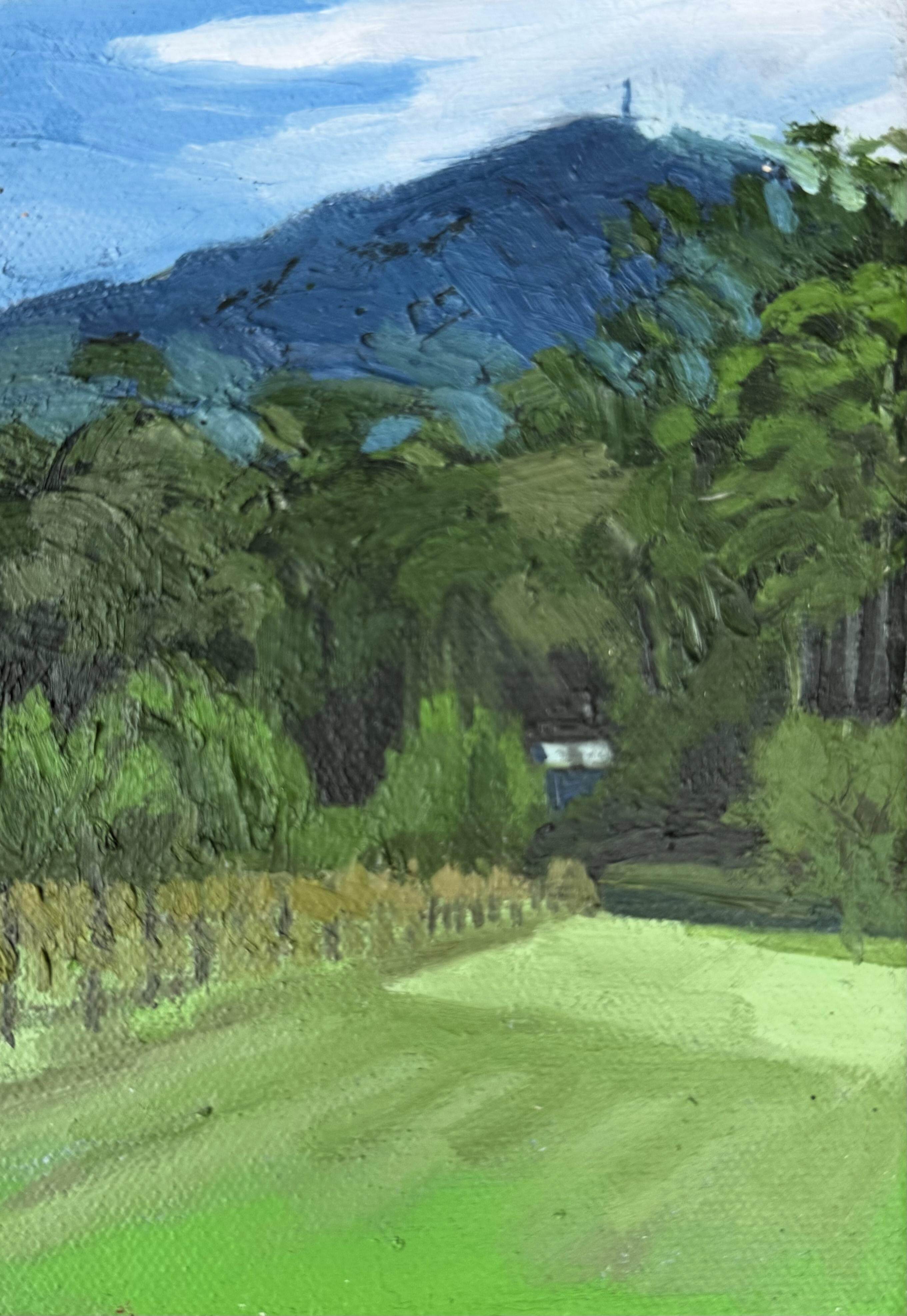 Patrice Wills_Cambewarra Winery en plein air