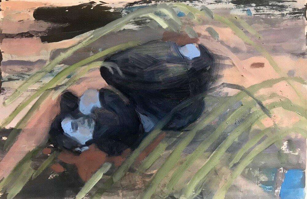 Finding A Way Home 5