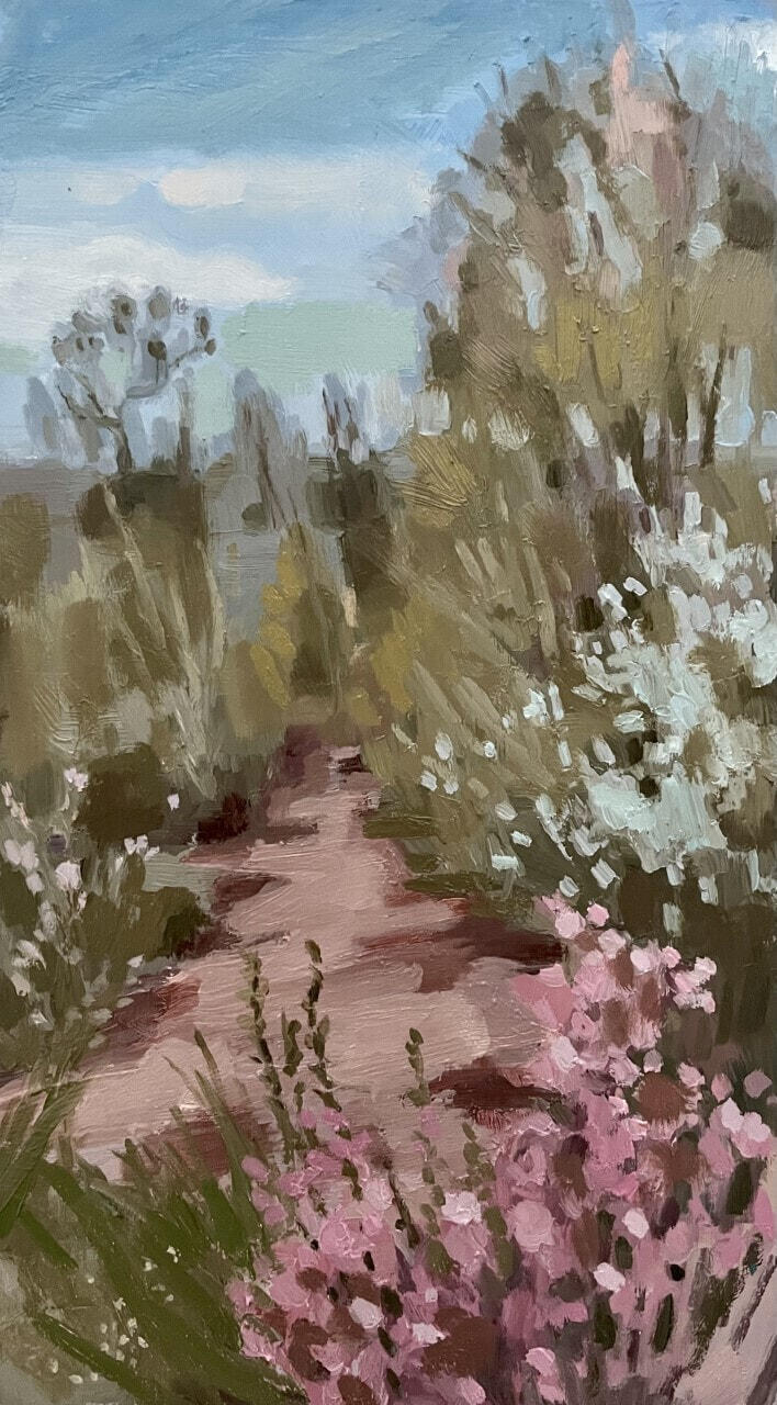 Wildflower Season on the Waratah Track