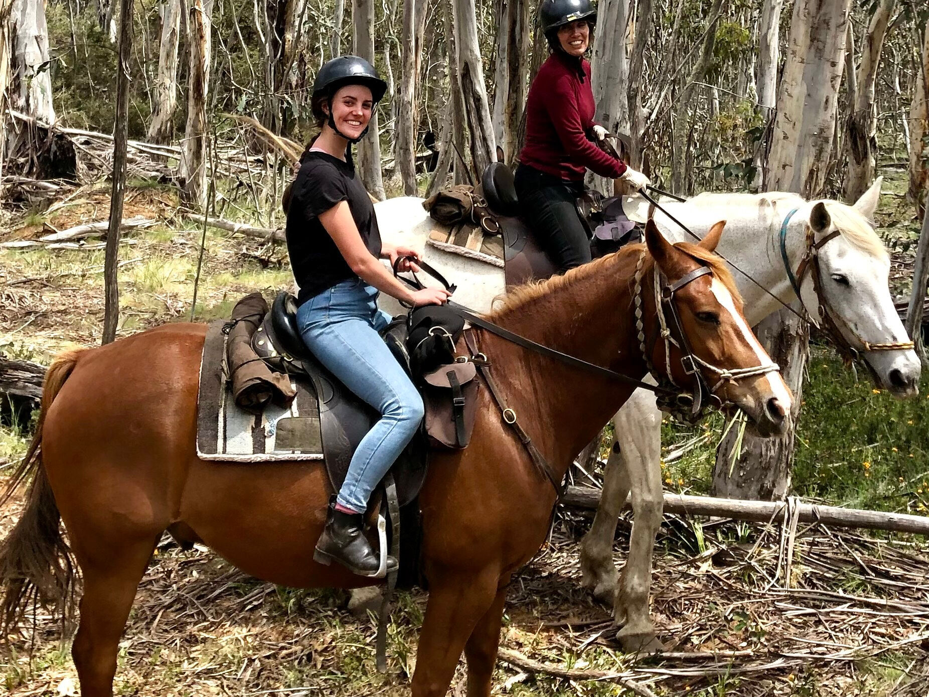 Horse riding Kosciuszko with my daughter