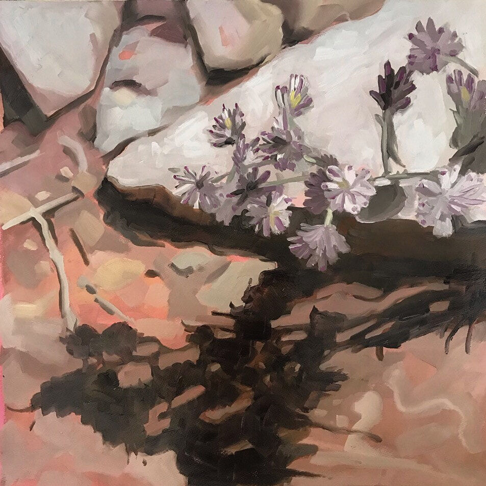 Desert flower 1