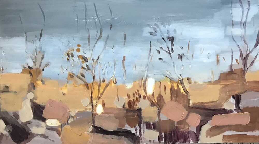 Desert Drift 5