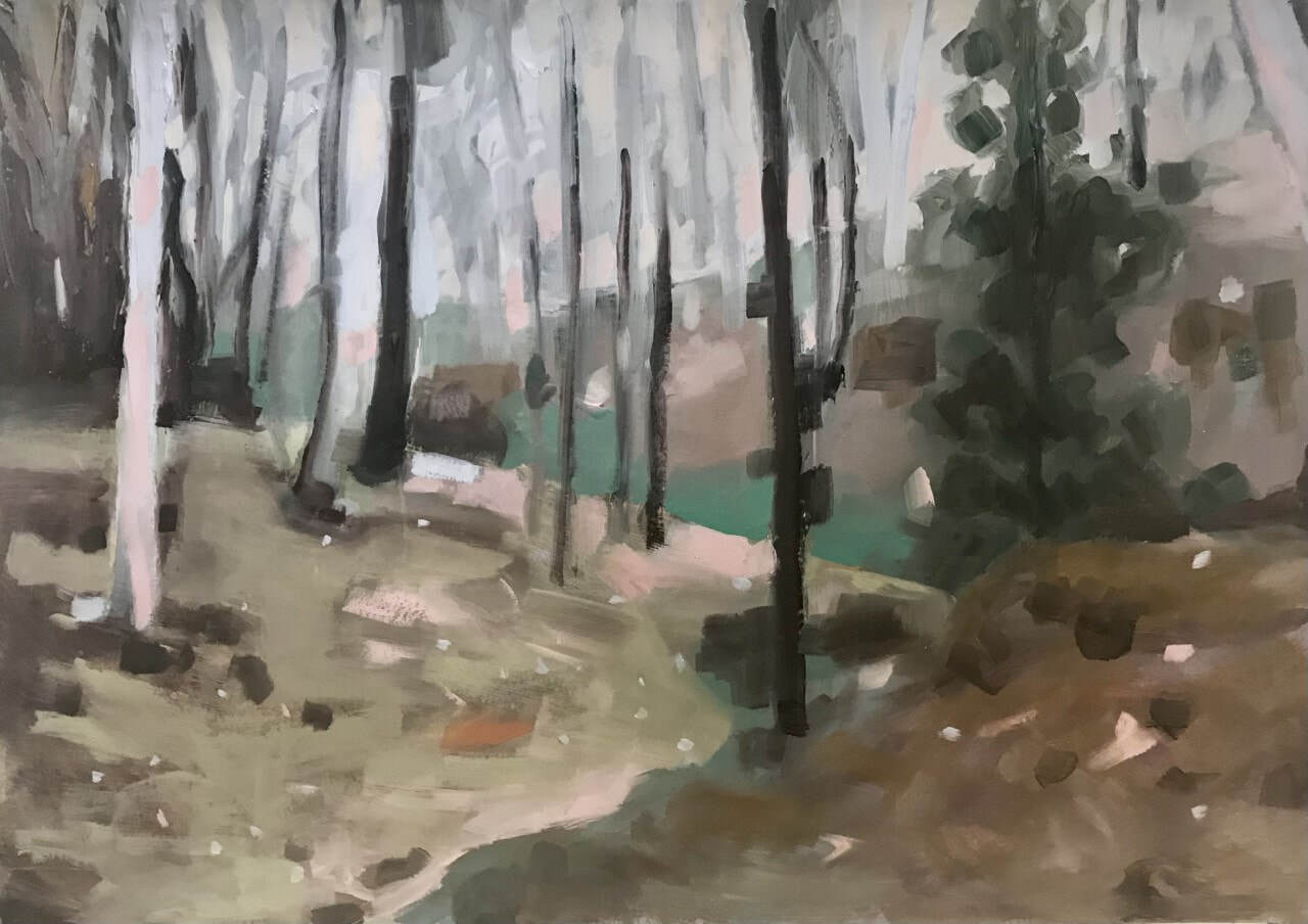 Hill End Study (Bush behind Camp)