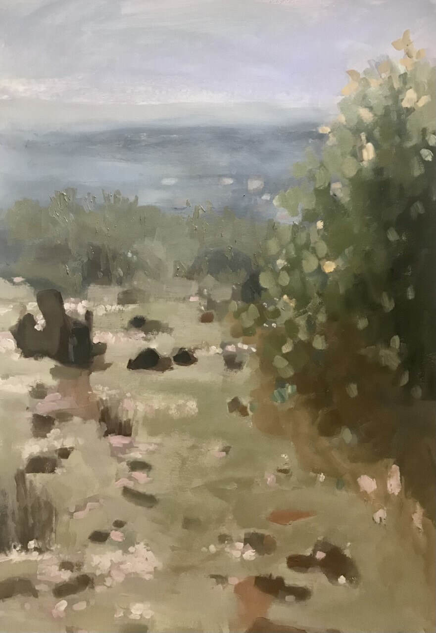 Bald Hill Lookout Hill End