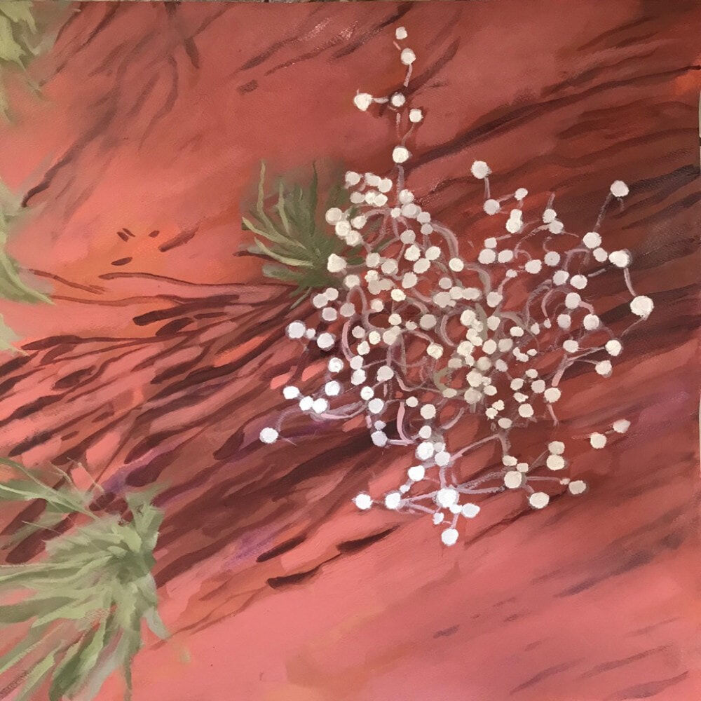 desert flower 1 a