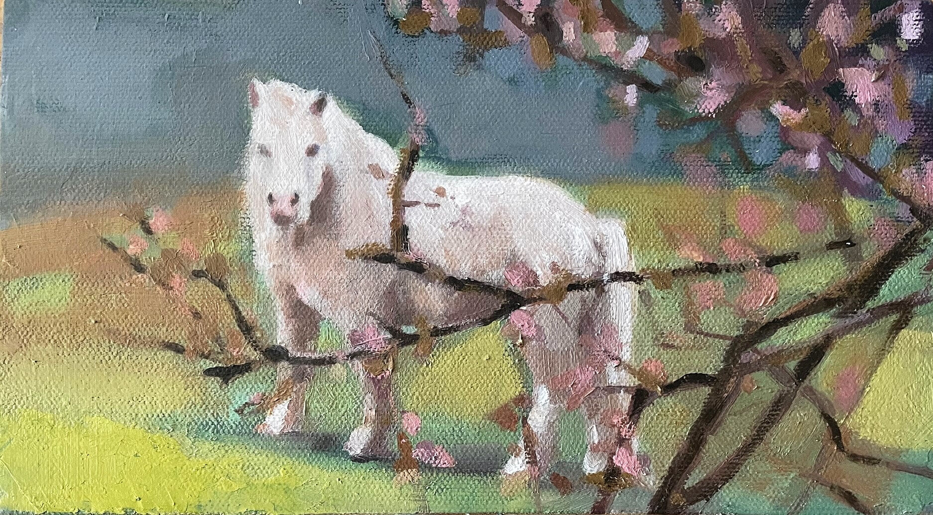 Autumn Pony