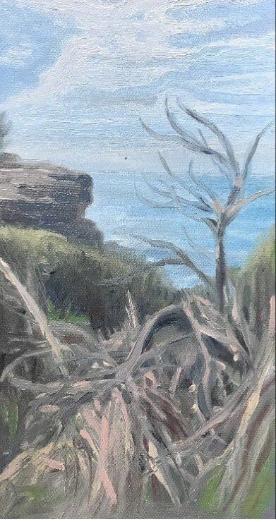 Sydney Cove