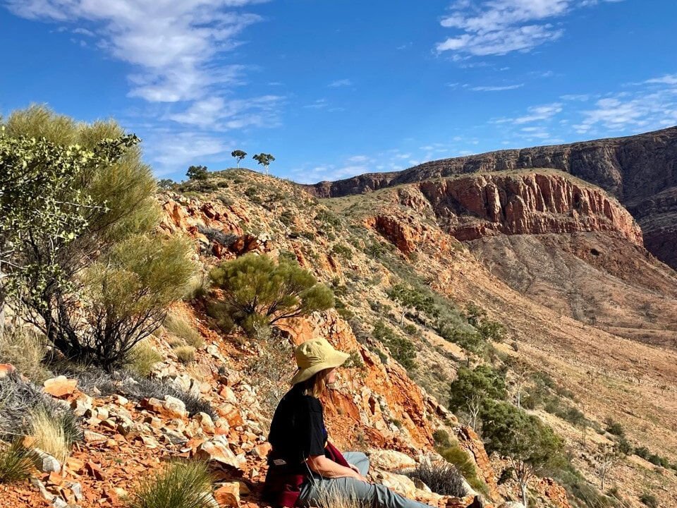larapinta