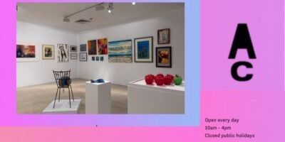 Friends Annual Campbelltown Art Centre