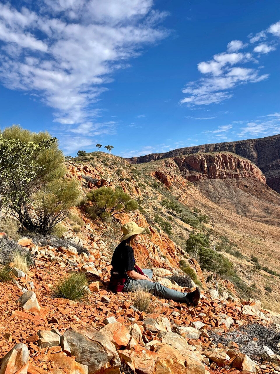 larapinta